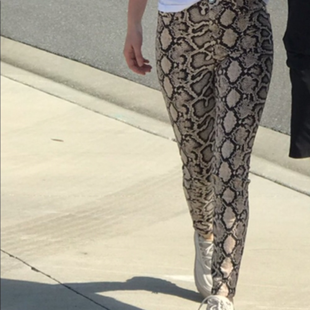 Snake print pants - Picture 6 of 6